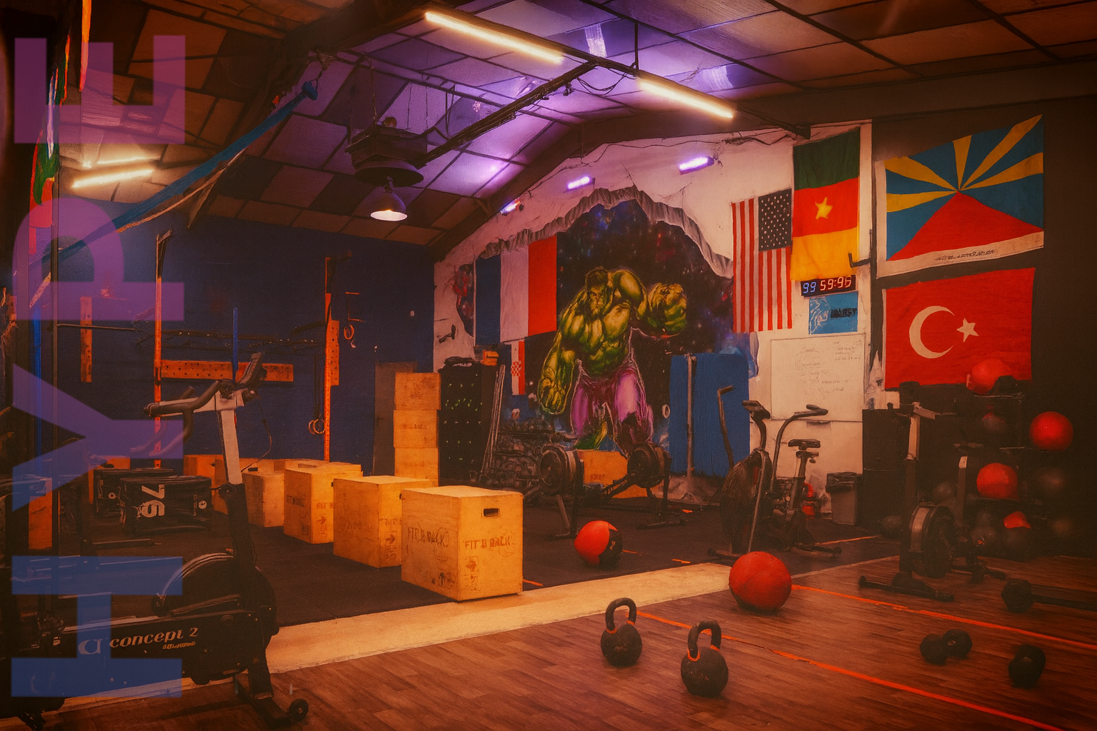 Salle de cross training avec box jumps, kettlebells et rameurs Concept 2